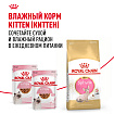 Royal Canin Sphynx Kitten Корм сухой сбалансированный для котят породы Сфинкс до 12 месяцев, 0,4 кг